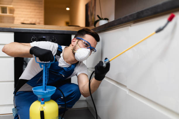 Best Wasp Removal Services  in Leisure City, FL