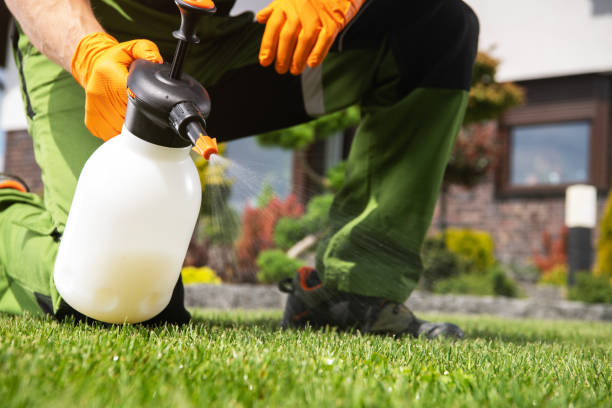 Best Commercial Pest Control Services  in Leisure City, FL