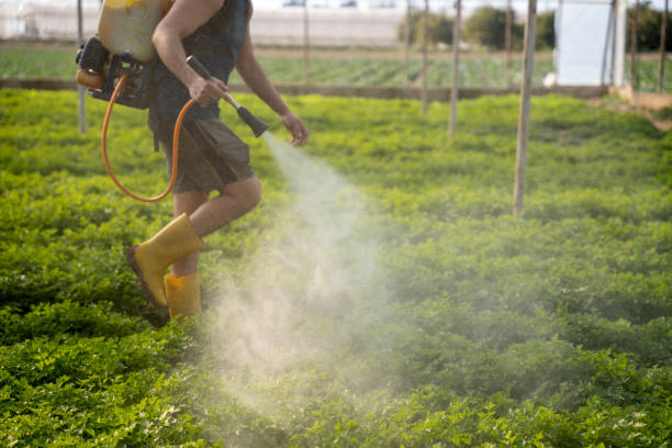 Trusted Leisure City, FL Pest Control Experts