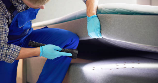 Best Exterminator Services  in Leisure City, FL