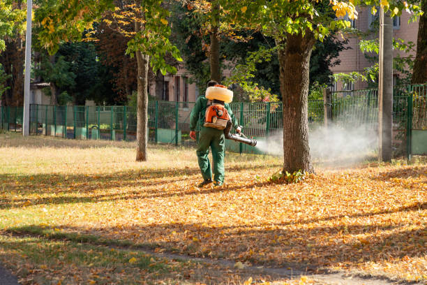 Trusted Leisure City, FL Pest Control Experts