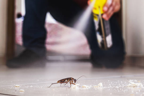 Best Pest Prevention Services  in Leisure City, FL