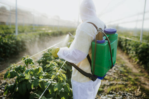 Best Flea Control Services  in Leisure City, FL